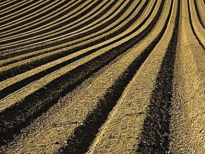 土壤環(huán)境檢測過程如何做質(zhì)量控制？